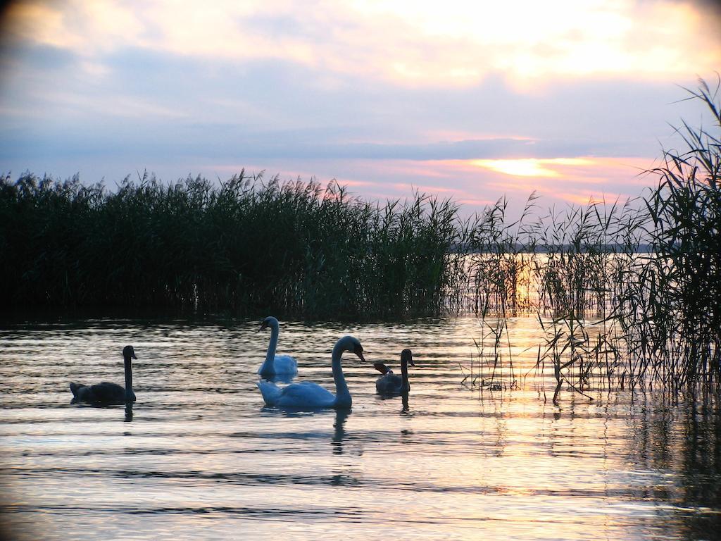 Feriendorf Boeker Muehle 部屋 写真